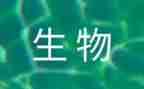 生物组教学计划7篇