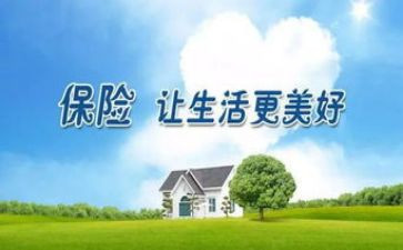 保险年度总结范文8篇