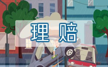 保险半年度工作总结8篇