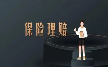 2024年保险公司年度工作总结优质7篇