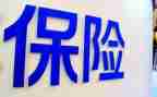 2024保险公司个人年终总结模板7篇