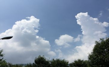 家乡环境的变化作文6篇