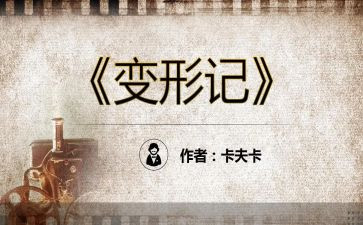 幼儿园中班小猪变形记教案5篇