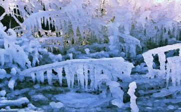 冰和雪教案反思优质5篇