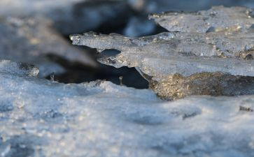 校园清冰雪活动总结5篇