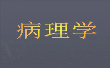 病理科2024年工作总结精选7篇