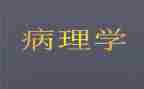 病理科2024年工作总结精选7篇