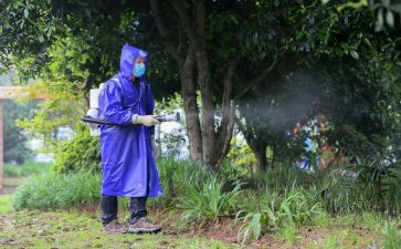 镇病媒生物防制工作计划7篇