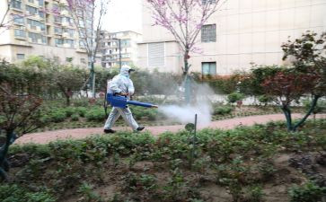 学校病媒防治工作计划6篇