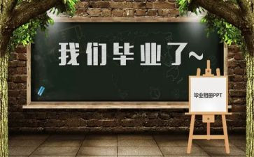 毕设工作总结范文模板6篇