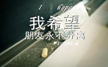 毕业班工作总结范文8篇