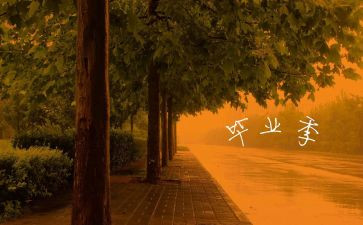 刚毕业实习的工作总结优秀5篇