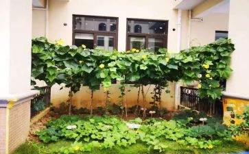 社会实践做菜心得体会7篇