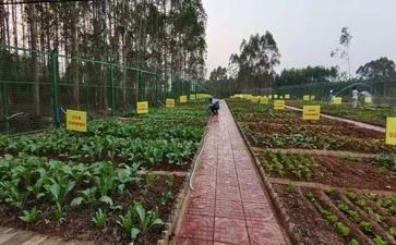 赣菜宣传活动总结精选5篇