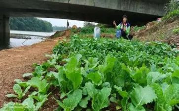 菜买卖合同模板7篇
