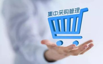 大企业采购工作计划5篇