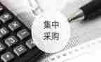 采购的年终总结模板5篇