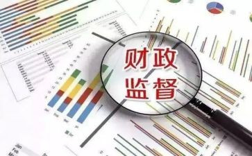 财政所自查报告参考5篇