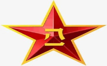 981的读后感300字推荐6篇