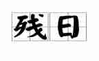 助残日活动方案模板7篇