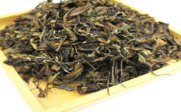 茶经的读后感作文500字优质7篇
