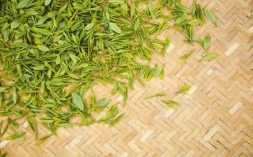 茶经的读后感作文800字推荐8篇