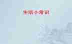 常识组工作总结6篇