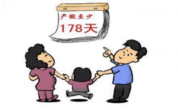 2024年产假申请书精选5篇