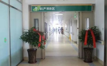 产科护理半年工作总结7篇
