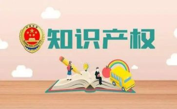 知识产权活动总结6篇