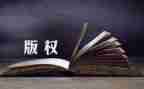 区知识产权工作计划8篇