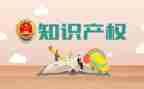 知识产权活动总结6篇