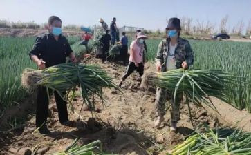房产销售自我鉴定6篇