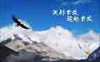 关于超越的演讲稿8篇