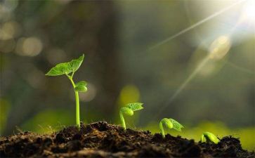 话成长心得体会6篇