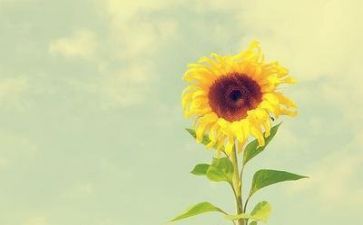 我在中成长作文600字优质6篇