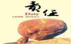 我承担的责任作文模板5篇