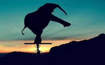 成功的作文500字推荐5篇