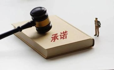 安全责任承诺书最新6篇