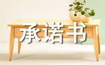 安全个人承诺书通用5篇