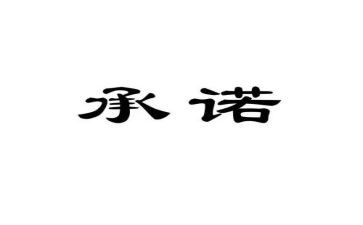 2024个人承诺书模板7篇