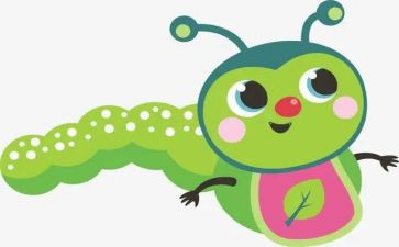 昆虫读后昆虫记读后感最新8篇