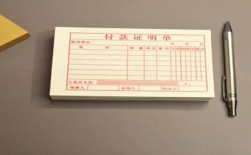 出纳总结及明年工作计划5篇