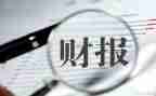 出纳的半年度工作总结最新5篇