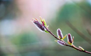优秀春节活动总结范文模板5篇