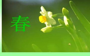 春节作文400字优秀作文5篇
