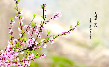 乡春节活动总结优秀5篇