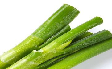 中班葱的教案推荐8篇
