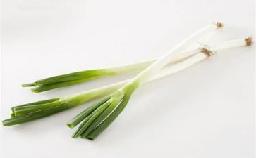 小班关于葱的教案精选5篇