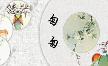 《匆匆》的心得体会最新5篇